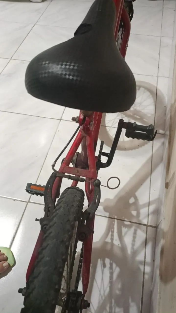 Bicicleta aro 15