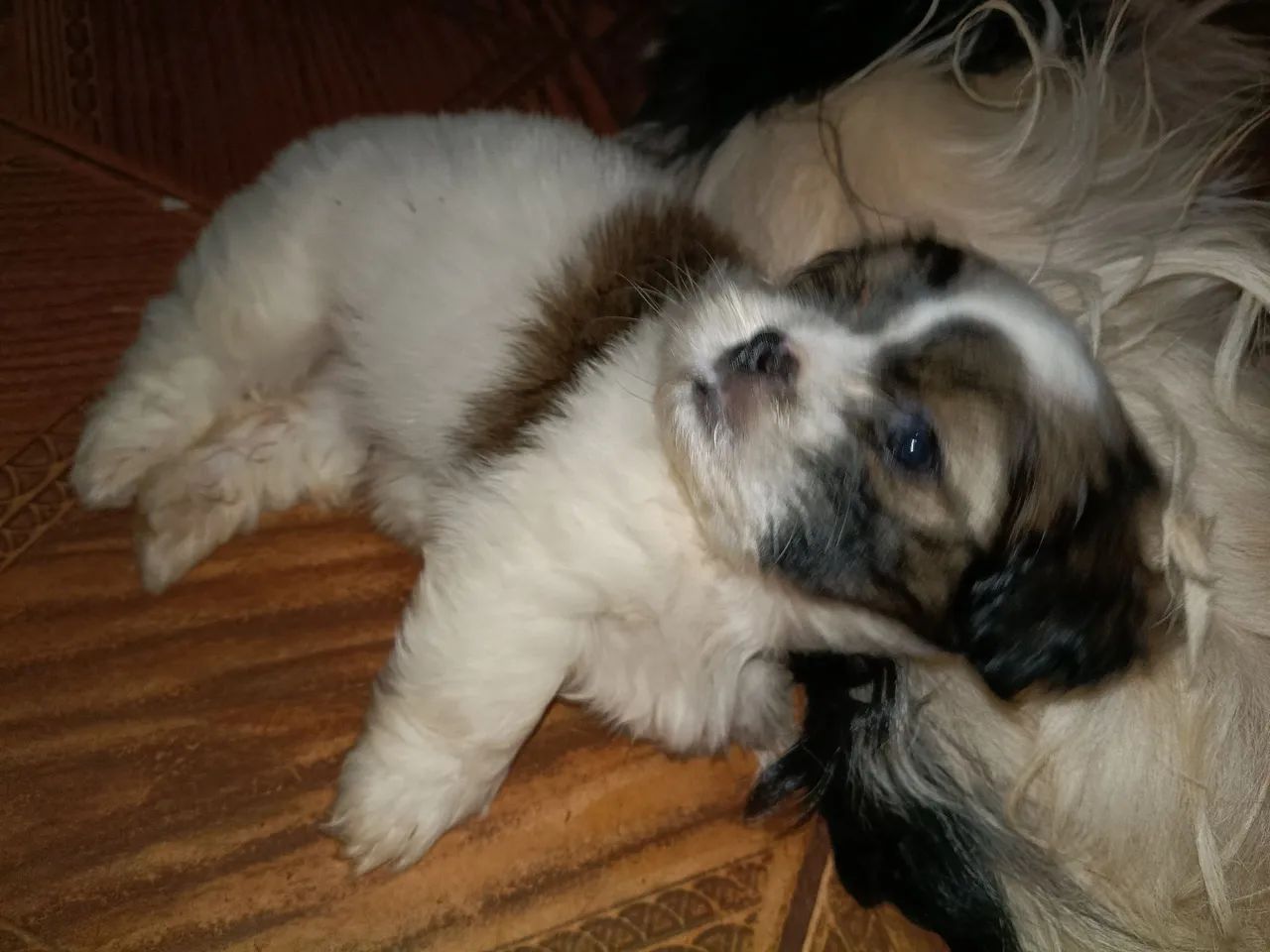 Vendo * - Foto 2