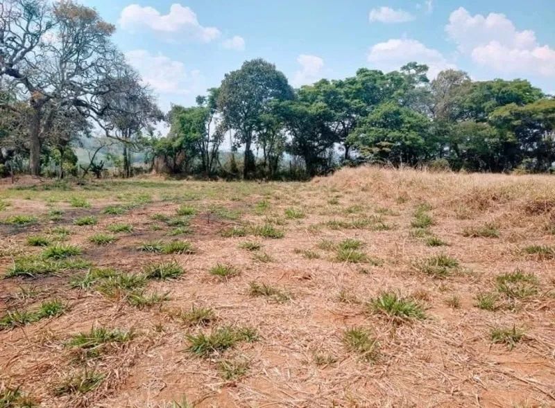 Foto - Mandirituba - Centro (Quatro Pinheiros)