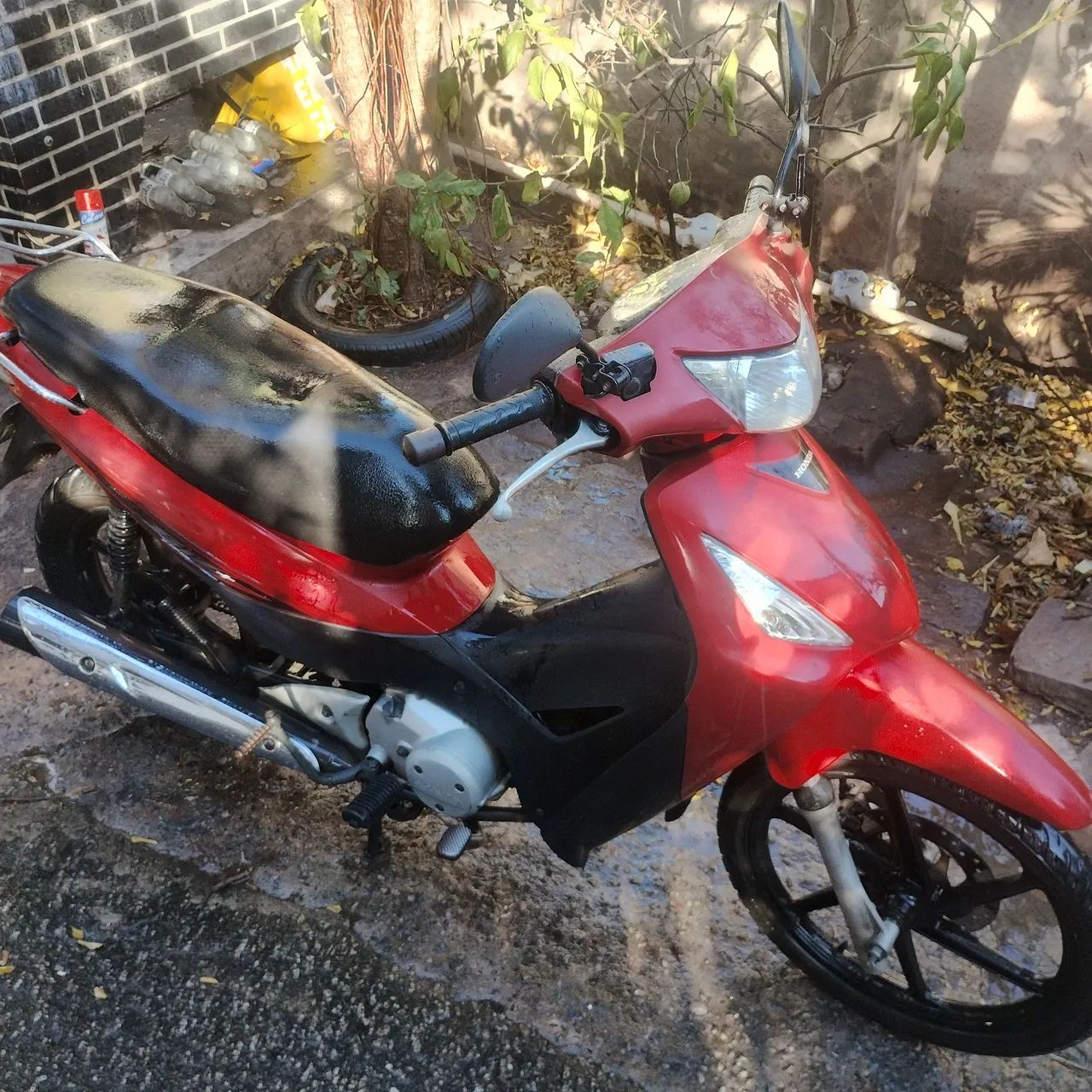 Bis mais  - Foto 2