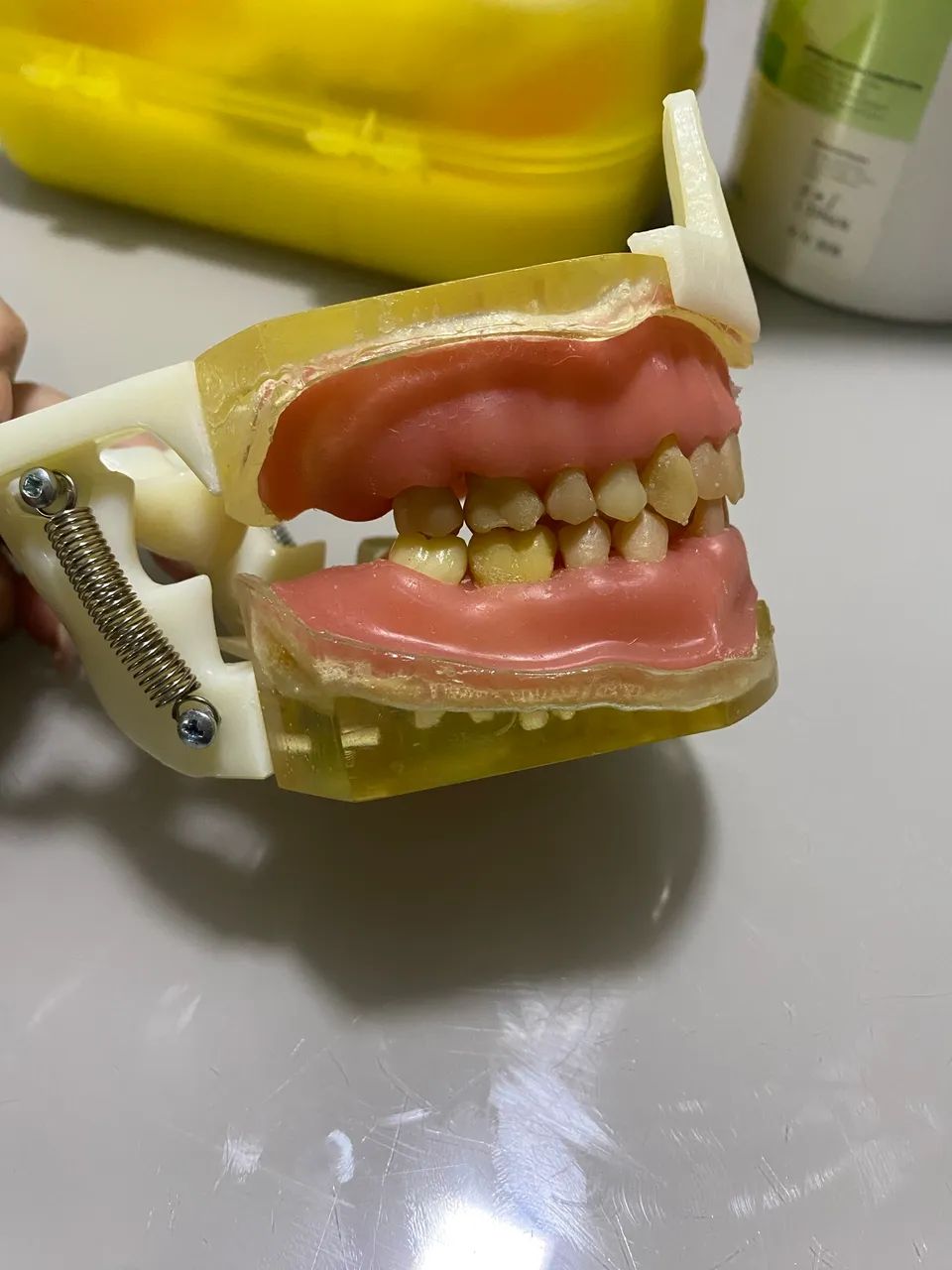Manequim odontológico cirurgia 