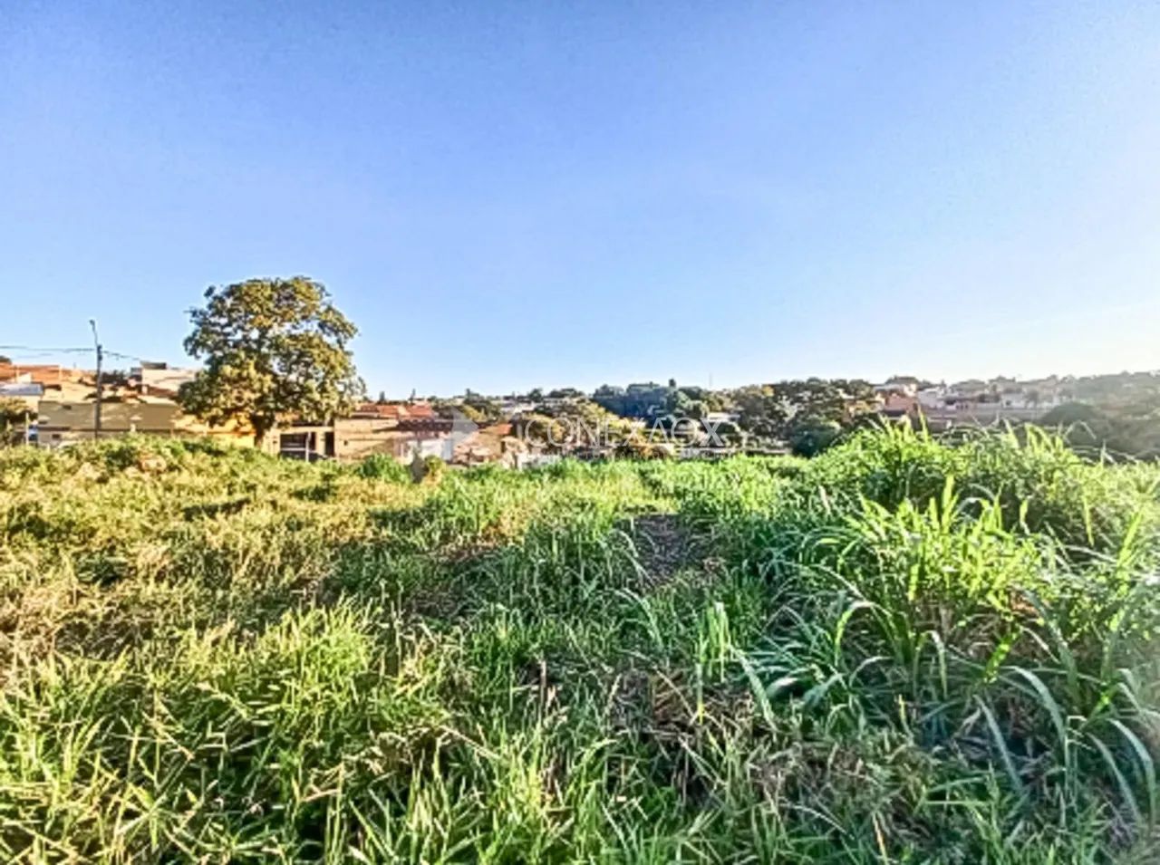 área - Chácara Primavera - Campinas - Foto 4