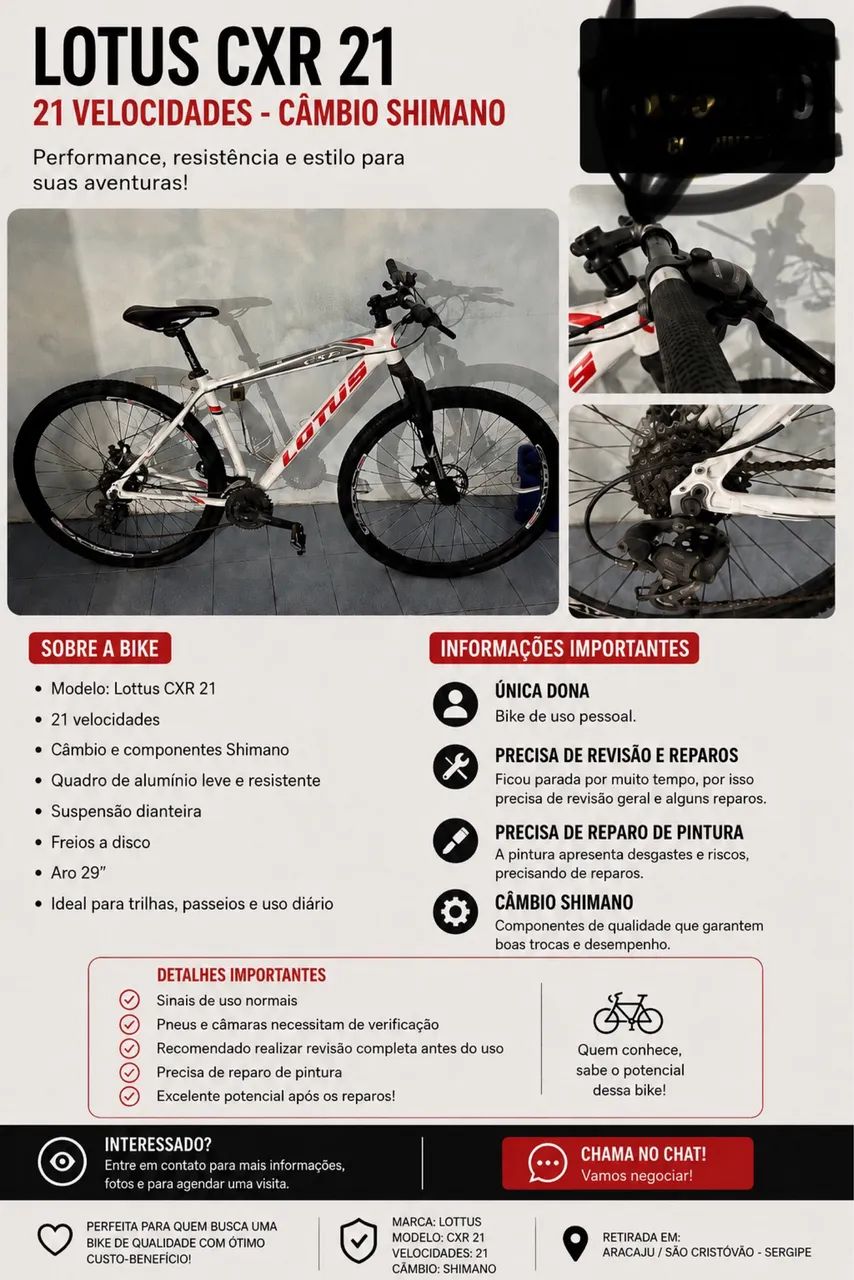 Bicicleta 