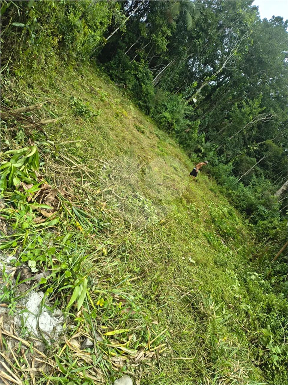 Terreno à venda em Costa do sol - SP