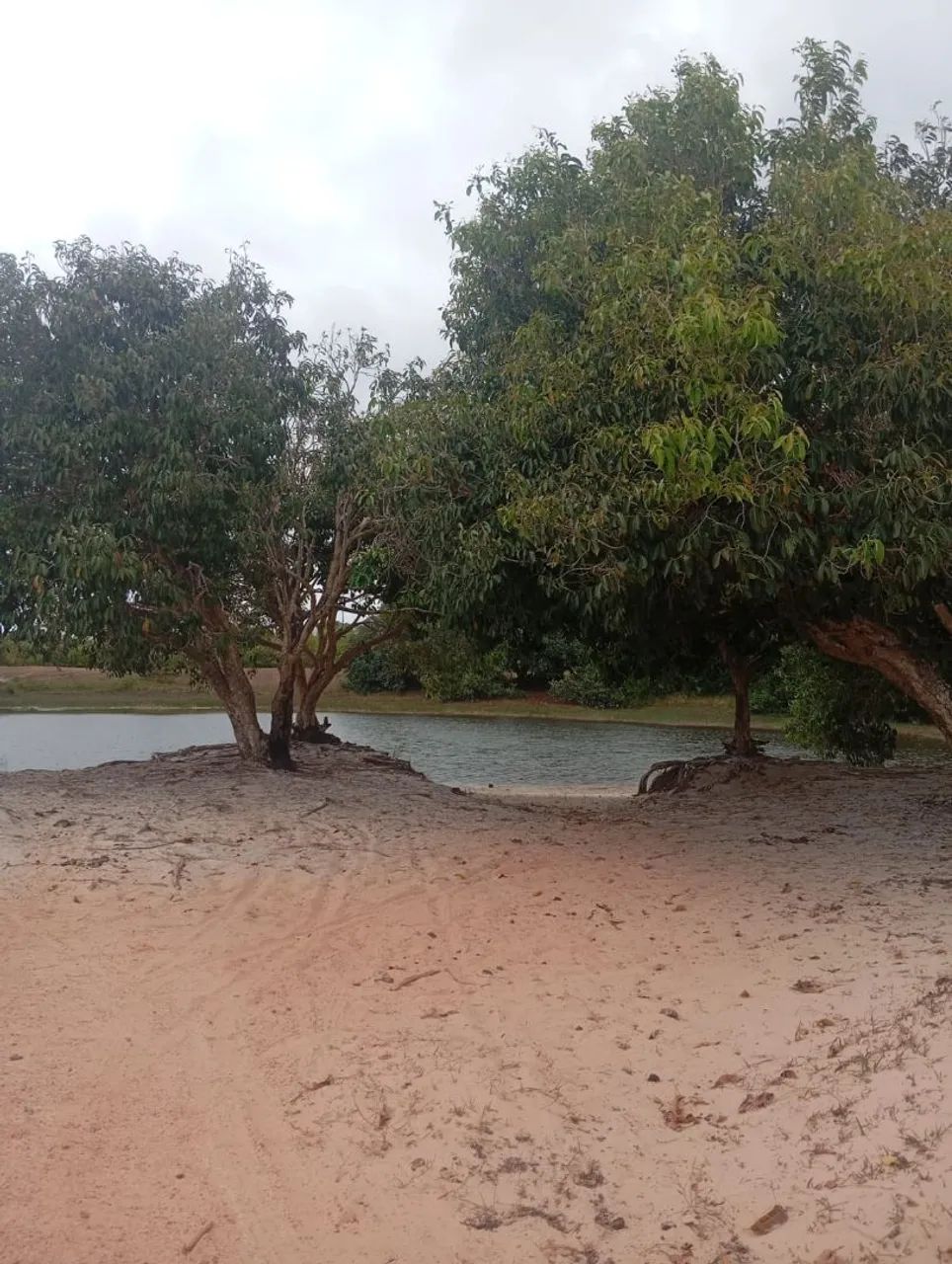 Terreno em Paracuru Ce - Foto 5