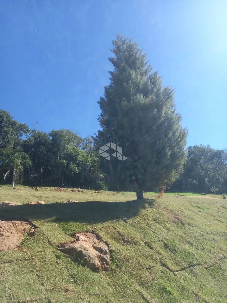 VENDE TERRENO/SÍTIO NOVA PETRÓPOLIS - Foto 2