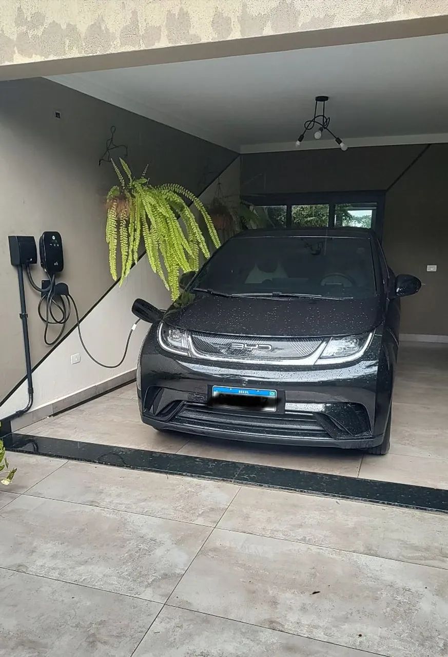 BYD Dolphin Dolphin EV (Elétrico) 2024