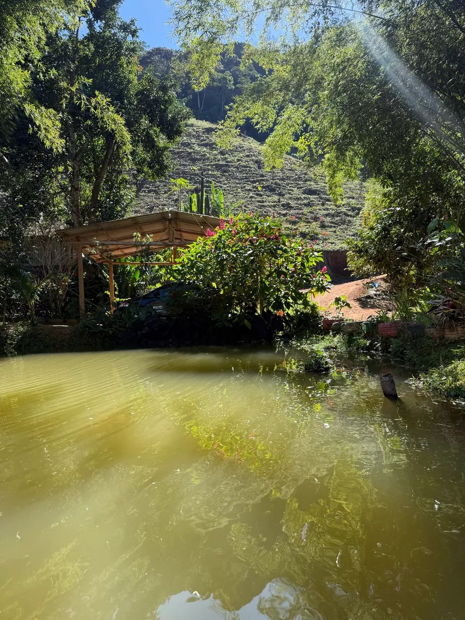 Chácara em Domingos Martins  - Foto 2