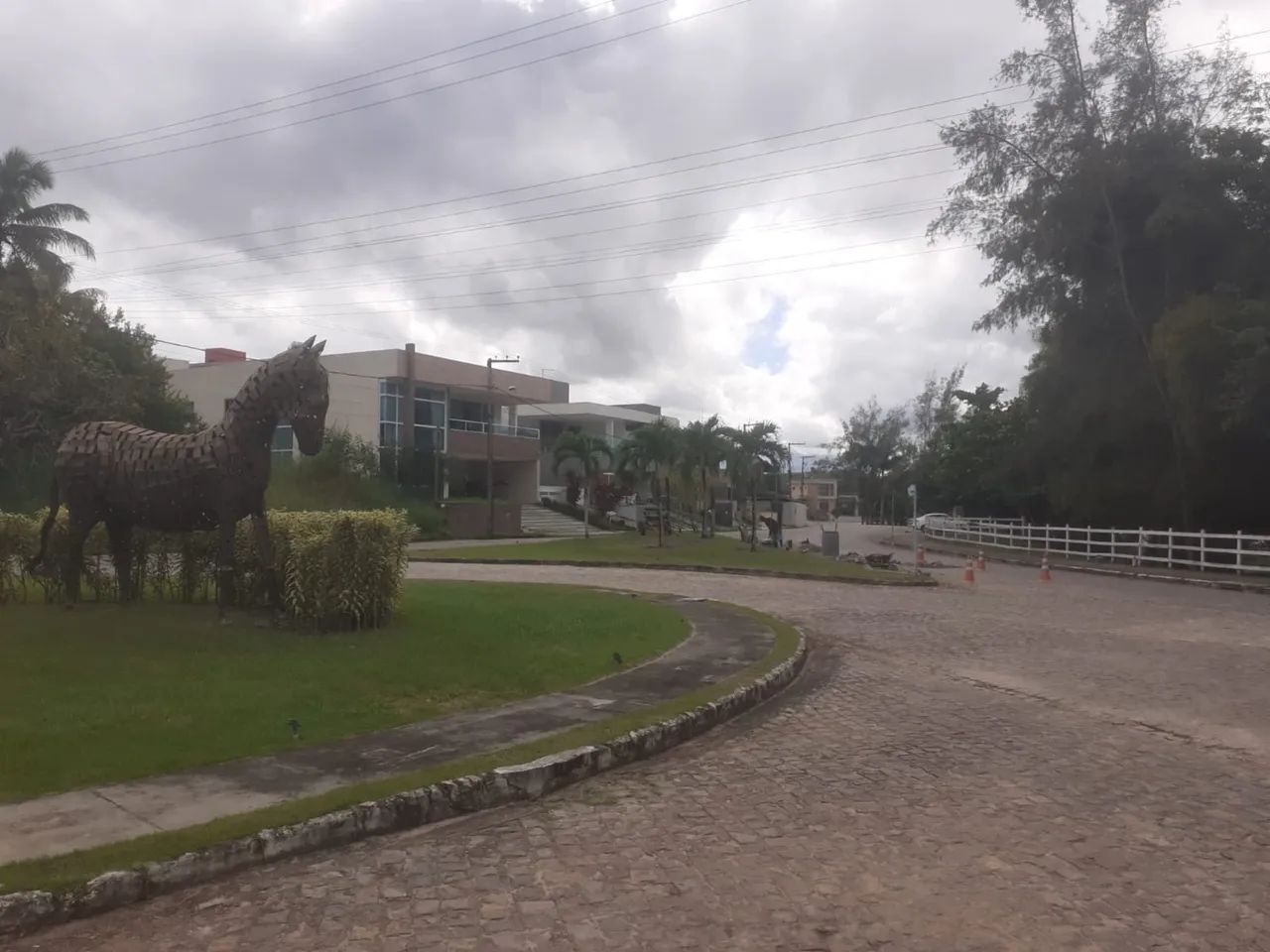 Haras Sergipe  - Foto 14