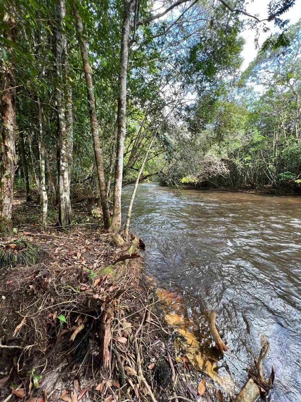 Terreno com corredeira privativa - Foto 2