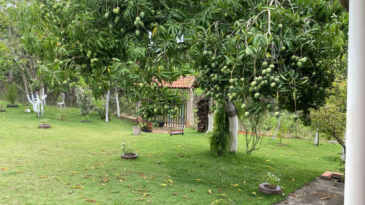Chácara  piraporão  ( piedade) - Foto 3