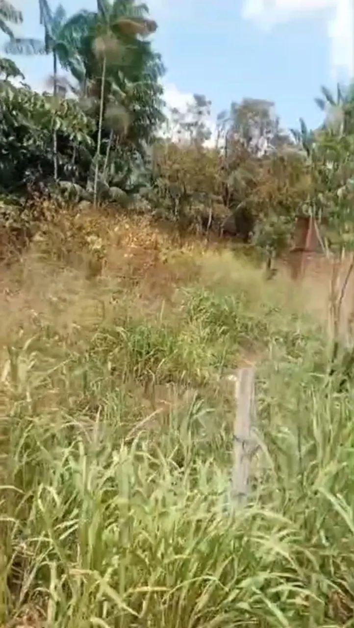 Vendo terreno em augusto corrêa  - Foto 3