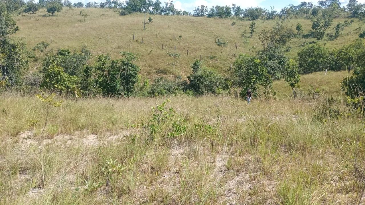 Lote em três ranchos  - Foto 2