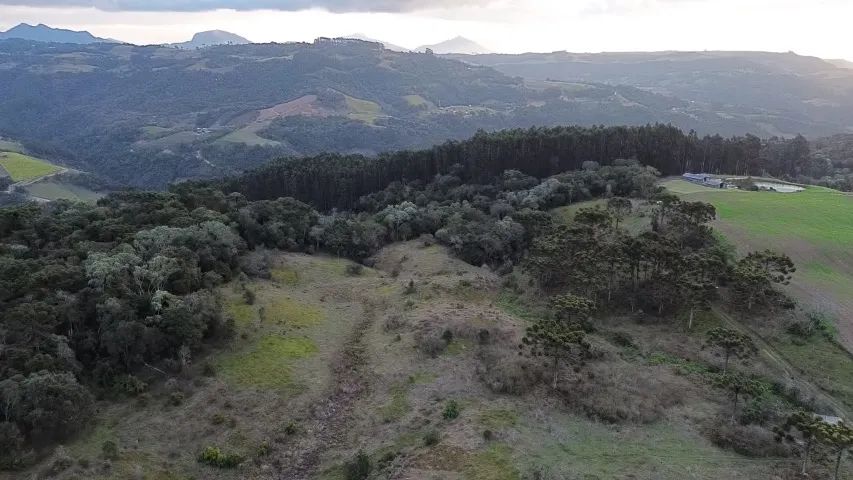 Terreno Alfredo Wagner 2 hectares, 2km do centro - Foto 4