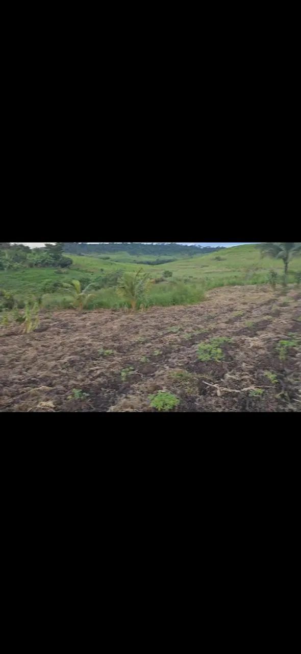 Vende-se sitio com casa - Foto 2