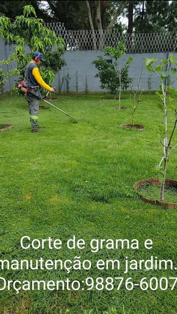 Jardineiro profissional  - Foto 2