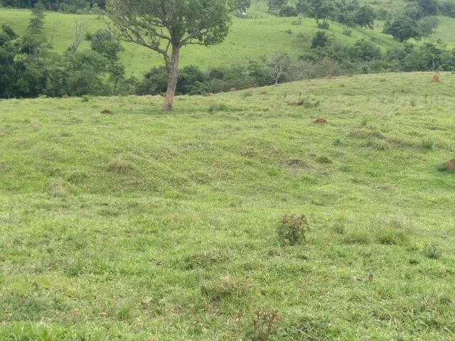 Vende-se terreno em Aiuruoca MG - Foto 5