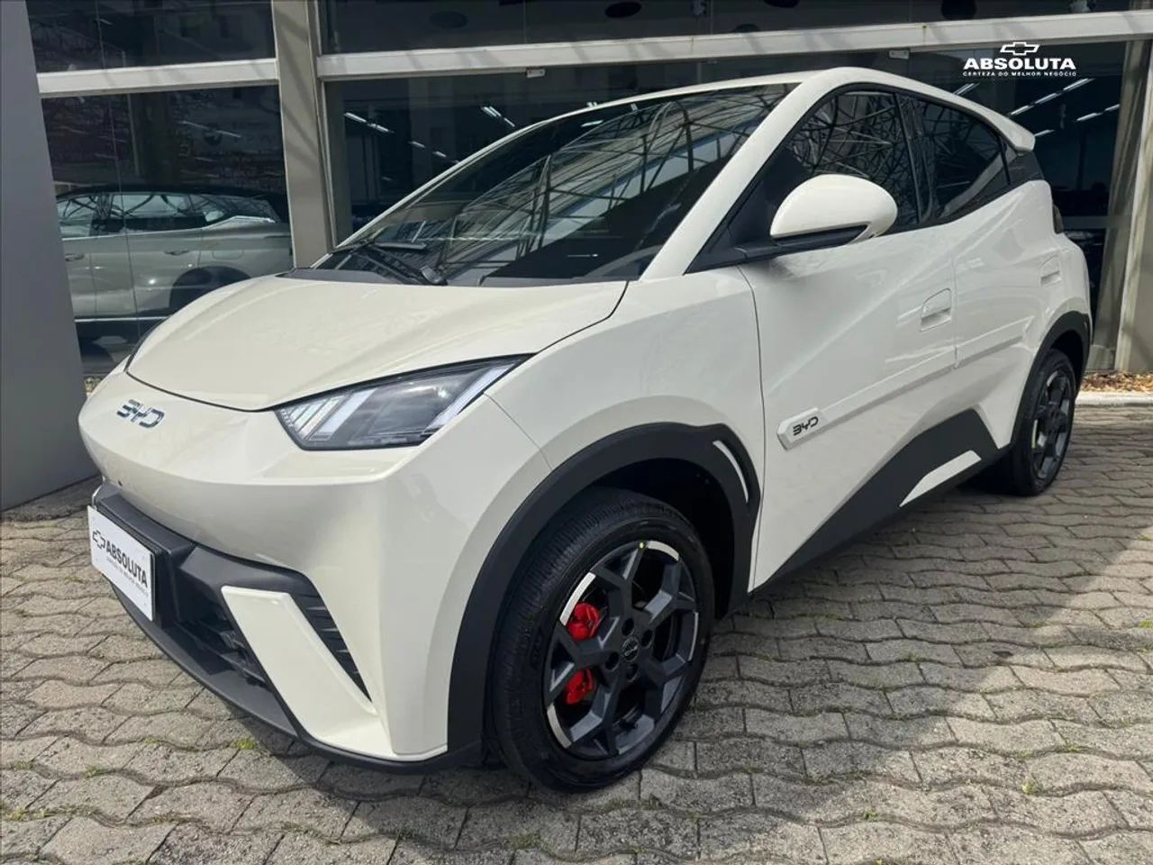 BYD Dolphin Mini (Elétrico) 2027