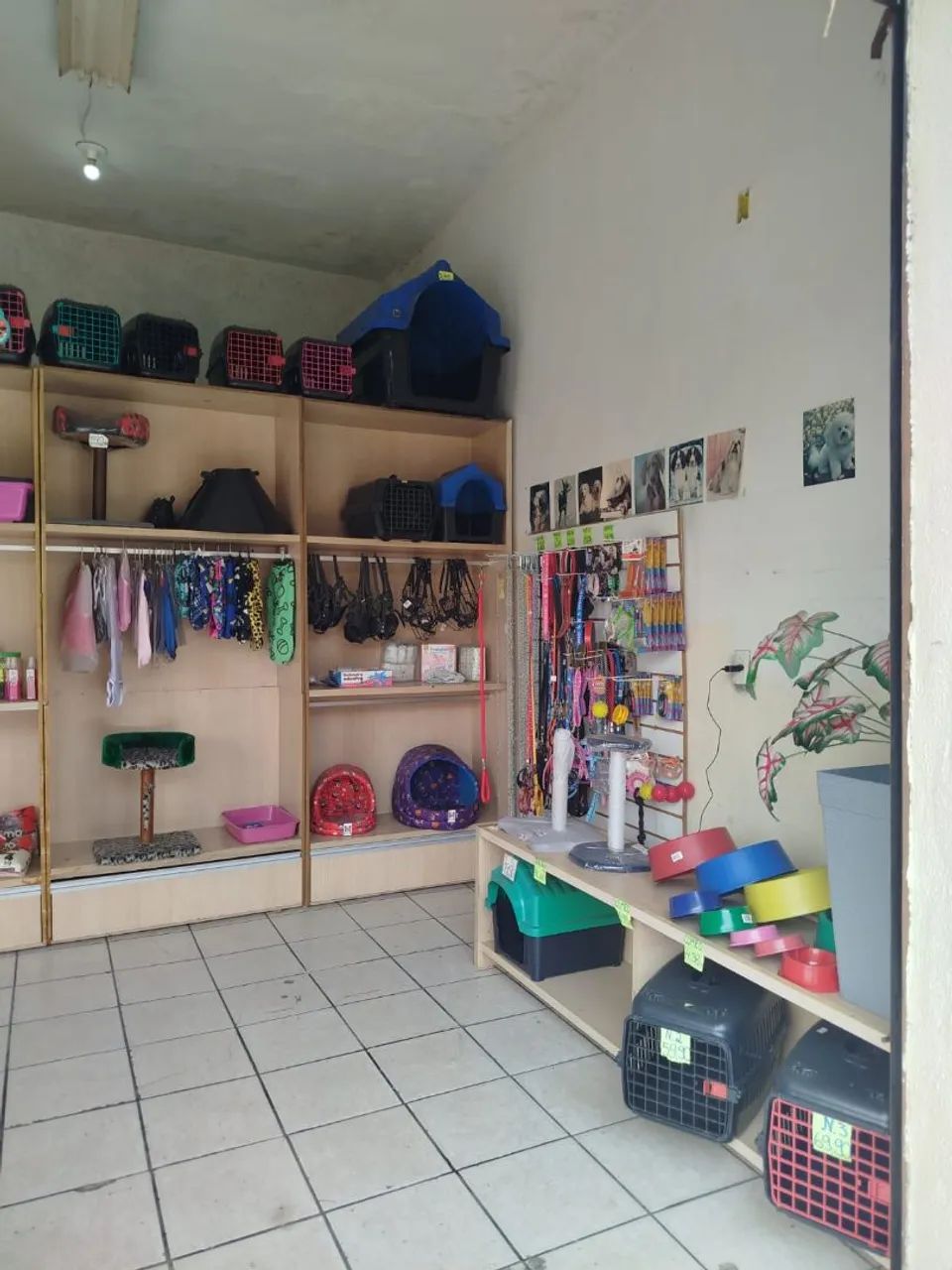 Vendo banho e tosa 15.000 - Foto 2