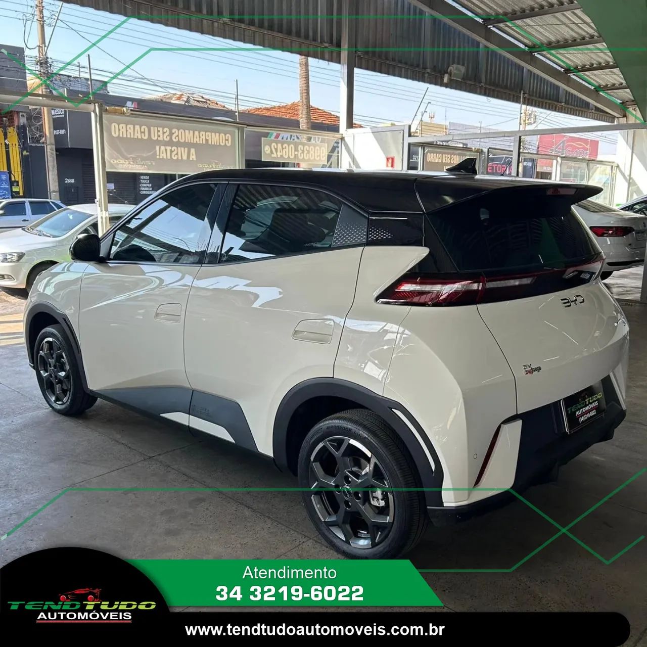 BYD Dolphin Mini (Elétrico) 2026 - Foto 3