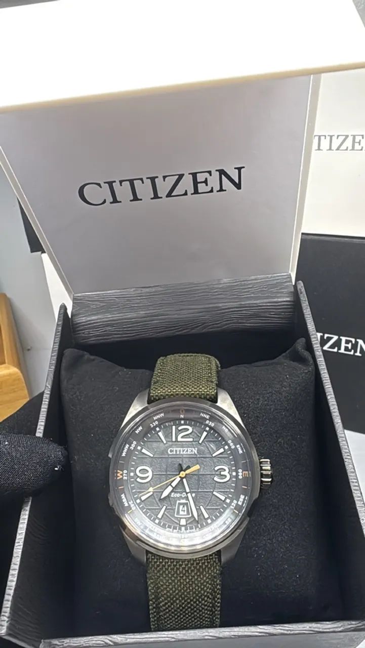 Citizen Promaster Eco Drive 