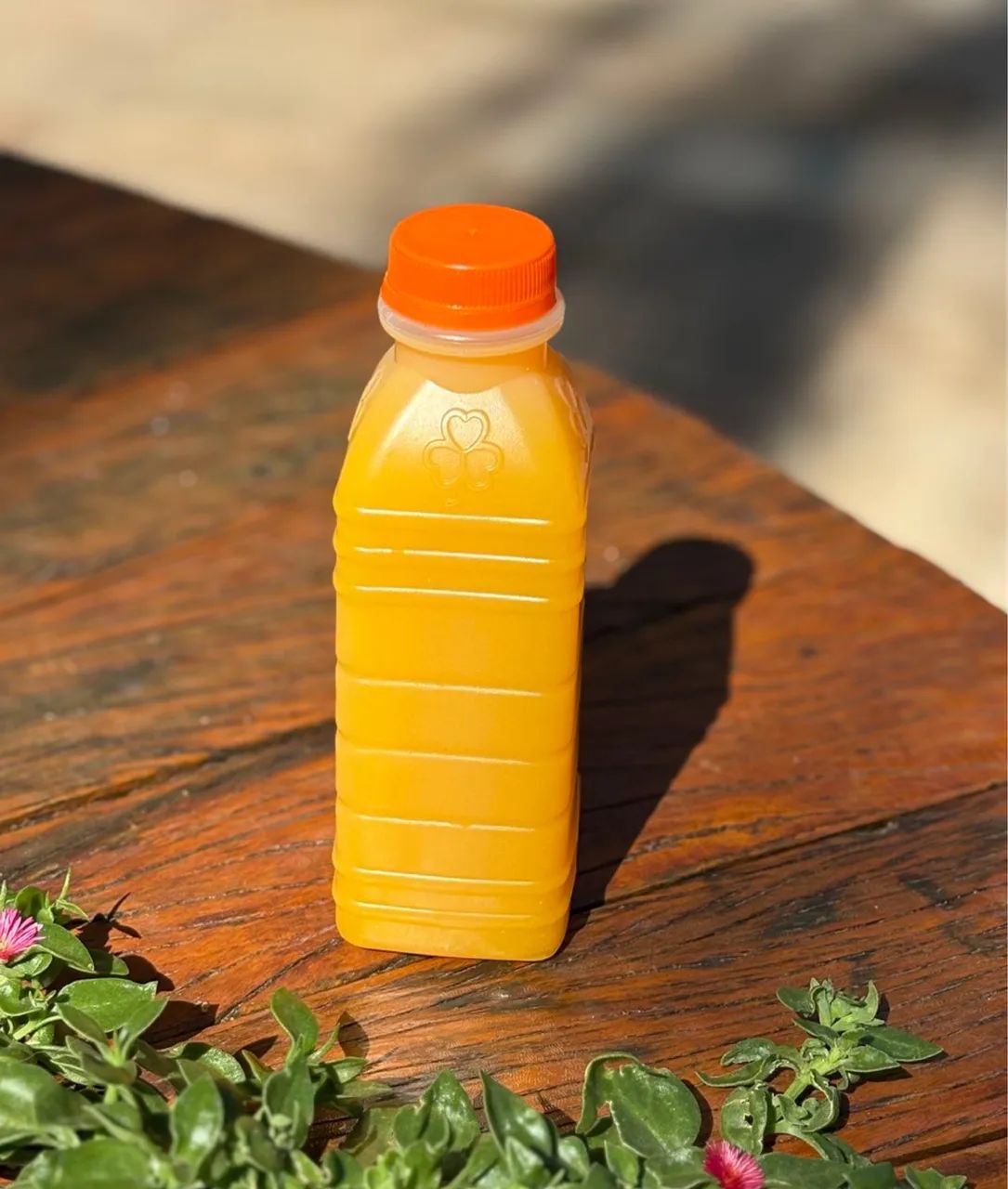 Garrafa Descartável 500ml