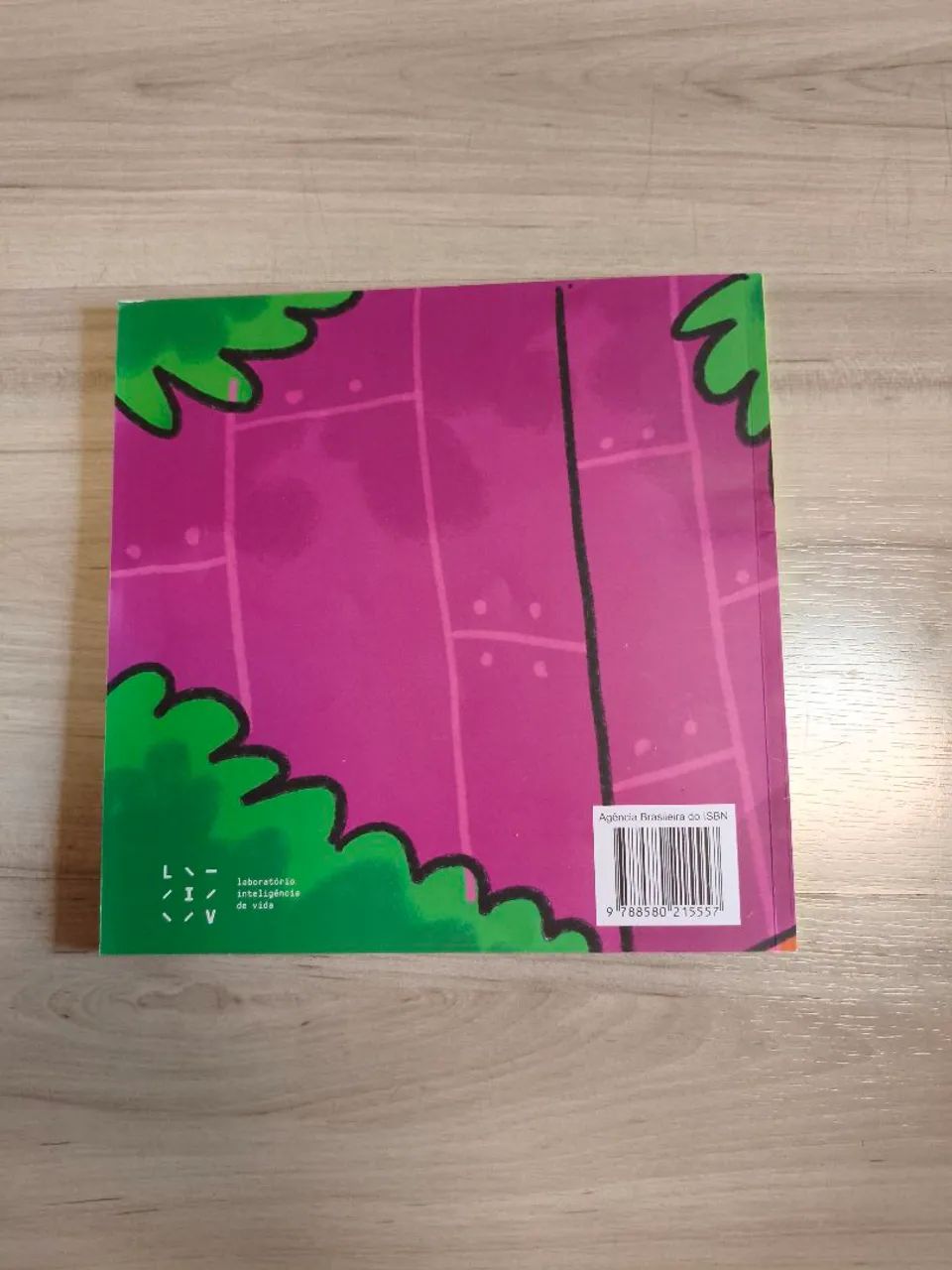 Livro - Vida Formiga - Foto 2