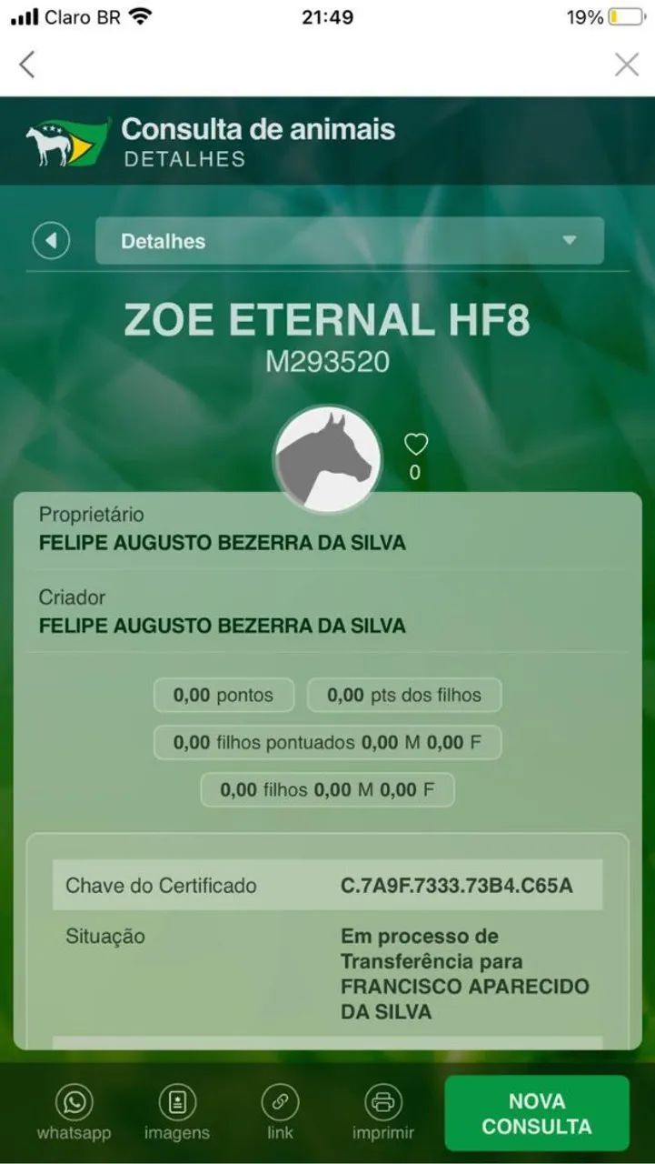 Potra 12 mil - Foto 3