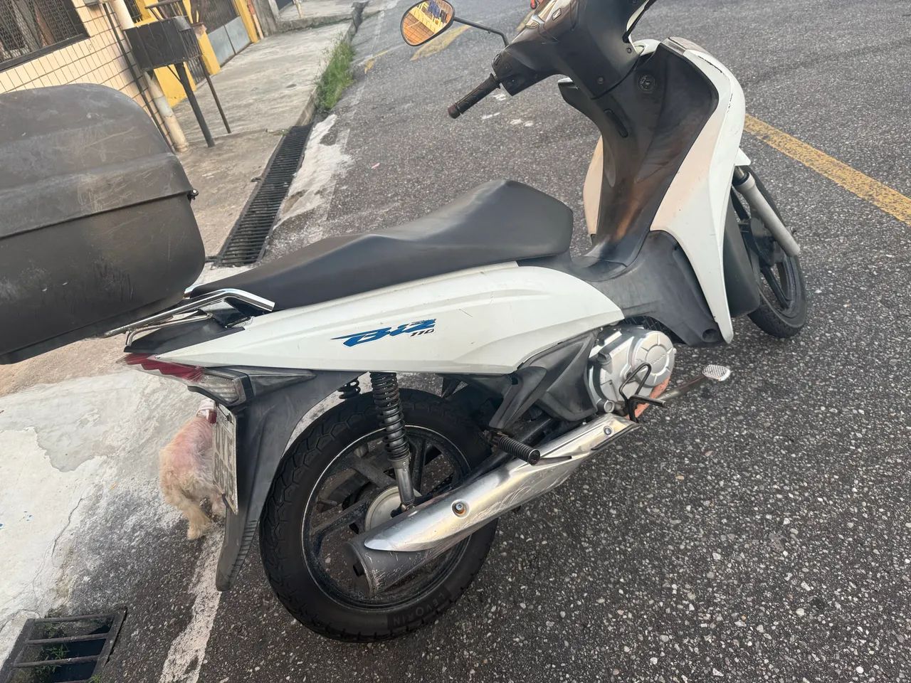 Moto bis  - Foto 4