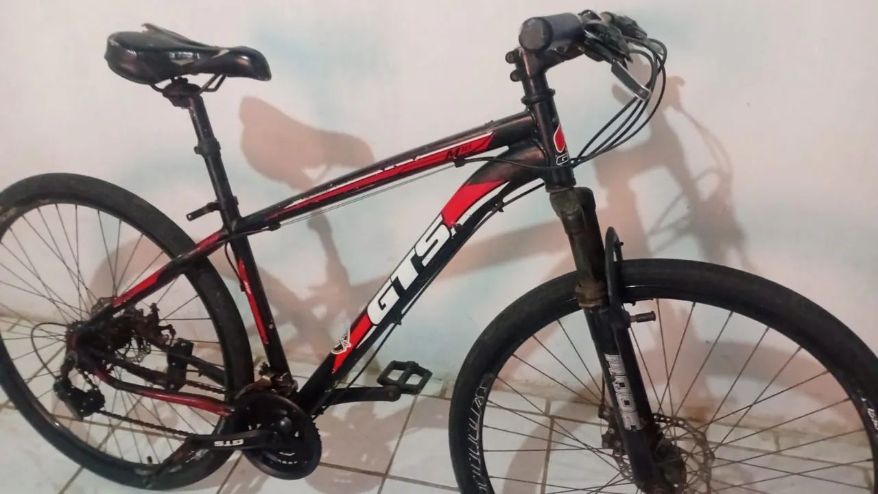 Baike Aro 29