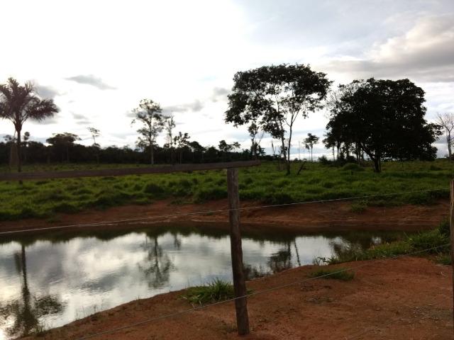 Fazenda de 150 alqueires, com 120 aberto 65 km de Guarantã do Norte -MT - Foto 15