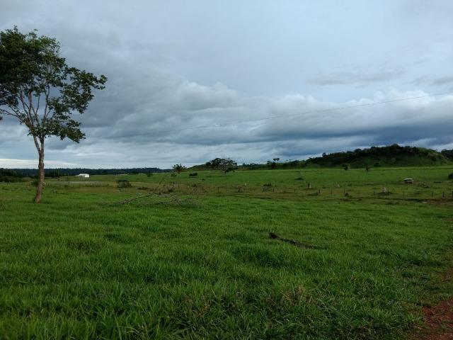 Fazenda de 150 alqueires, com 120 aberto 65 km de Guarantã do Norte -MT