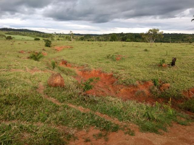 Fazenda de 150 alqueires, com 120 aberto 65 km de Guarantã do Norte -MT - Foto 14