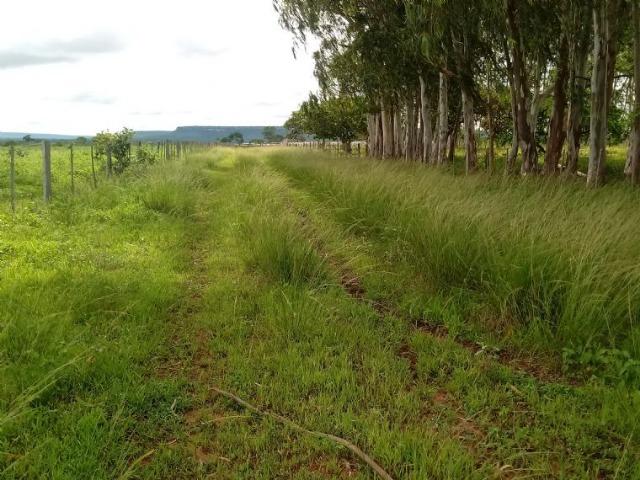 Fazenda 1.940 hectares na Estrada do Manso a 50 km de Cuiabá - Foto 5