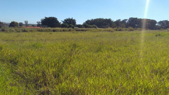 Área plana c/ leve aclive, medindo 23.300m², próx a cidade. Ótimo para industrias.(AR0001) - Foto 5