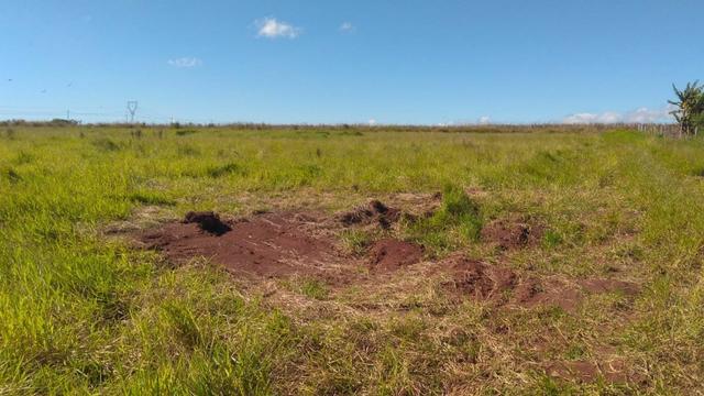 Área plana c/ leve aclive, medindo 23.300m², próx a cidade. Ótimo para industrias.(AR0001)