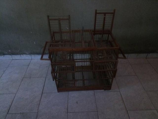 Gaiola para bigodinho - Foto 2