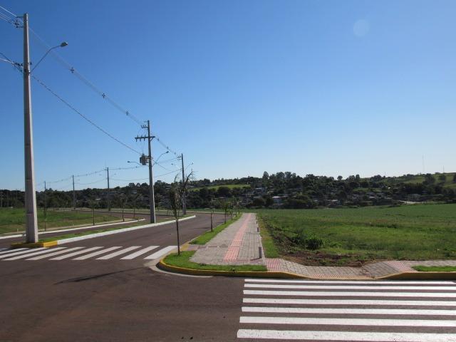 Terreno para Morar Bem - Foto 5