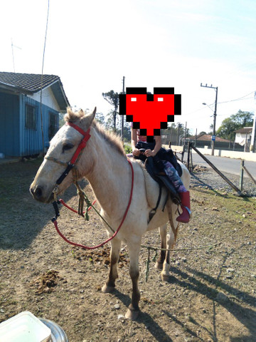 Égua