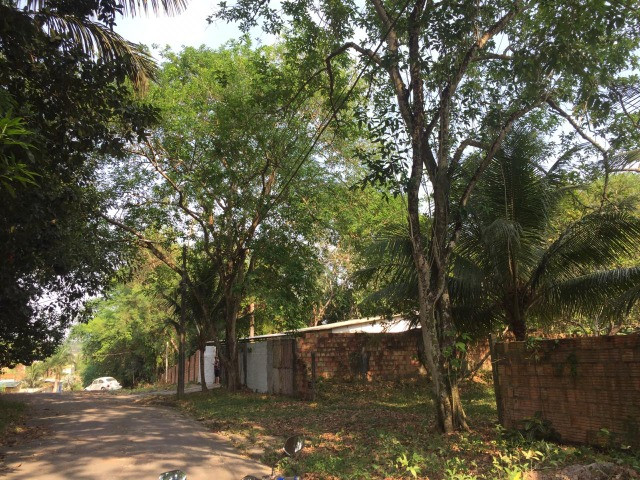 1.200m²/ Terreno/ R$600.000,00 mil/ Flores