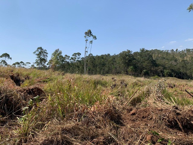AM Terreno c/ ótima localização! - Foto 2