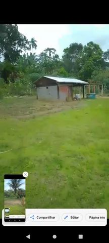  Fazenda