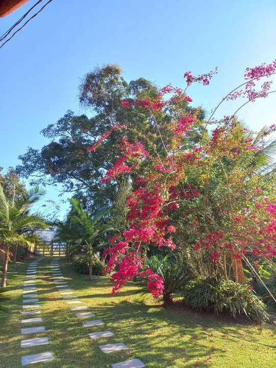 foto - Rio Pomba - 