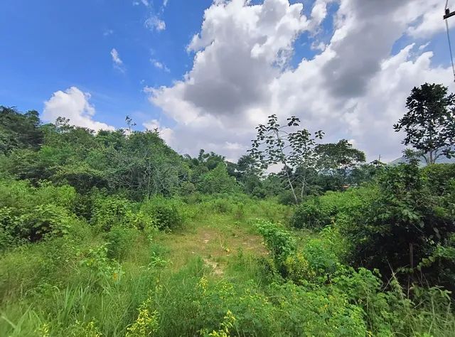 836 m2 Rio da Prata de Cpo Grande -RJ  - Foto 4