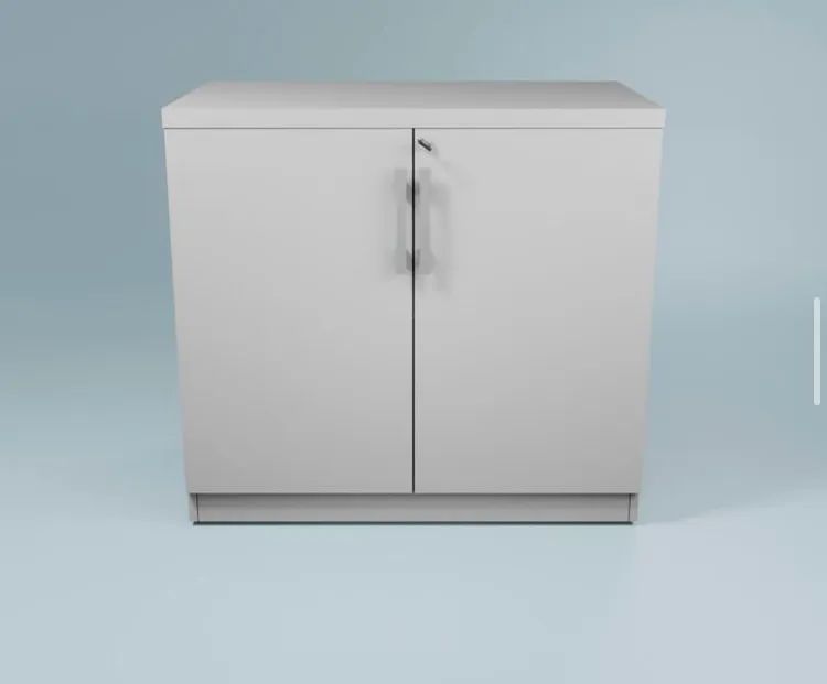 Armário de Escritório com 2 Portas