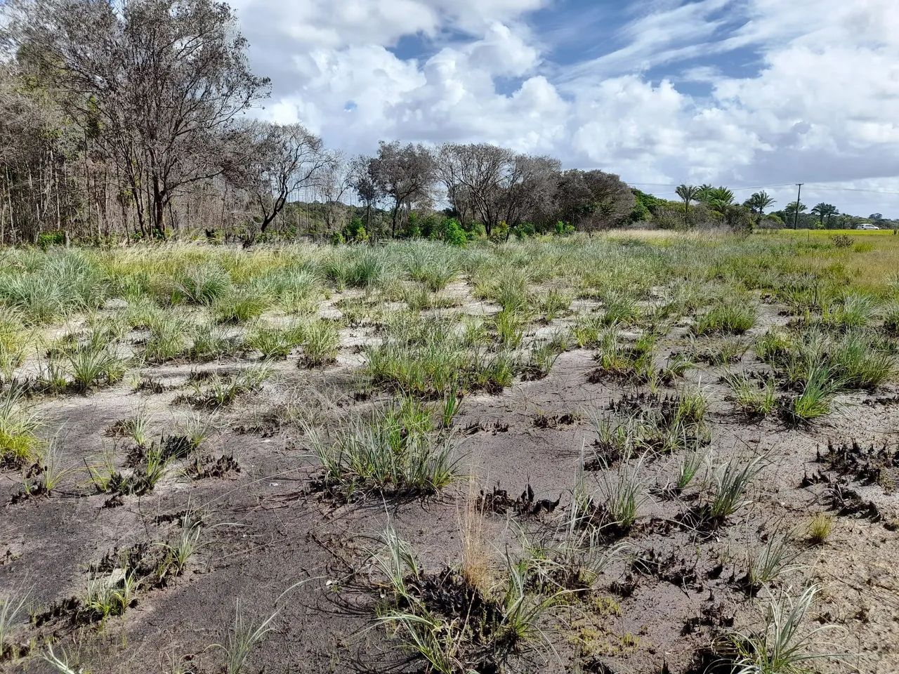 Terreno para chácara  - Foto 2