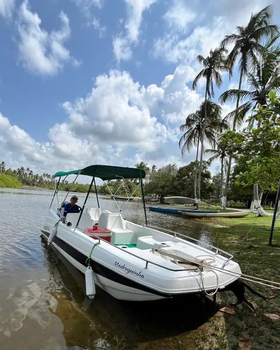 Embarcação Sport Fish - MOTOR 50HP 2t  Power-Trim