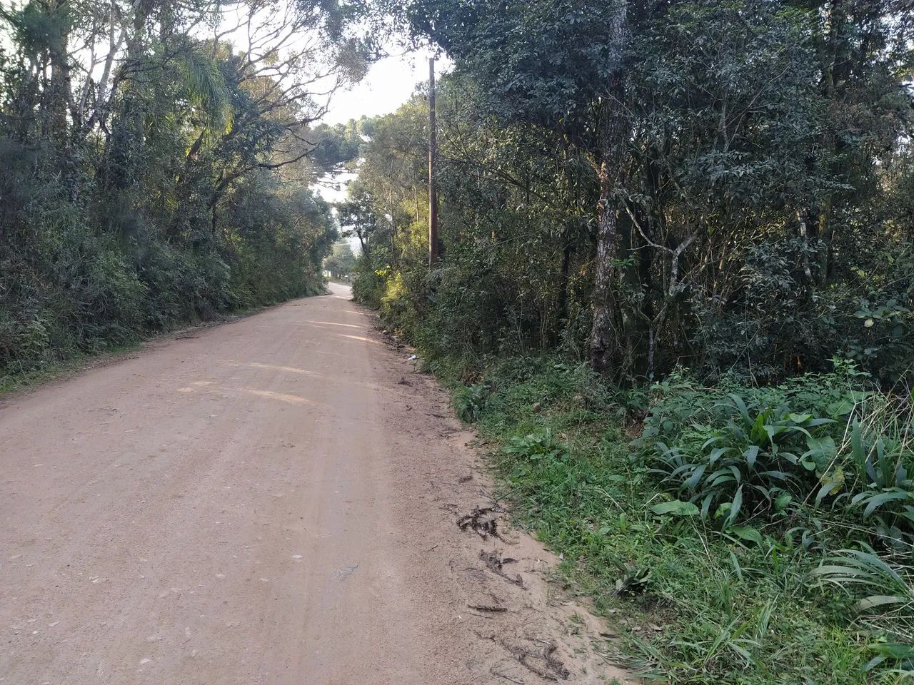 Sítio , Pangaré VELHO 