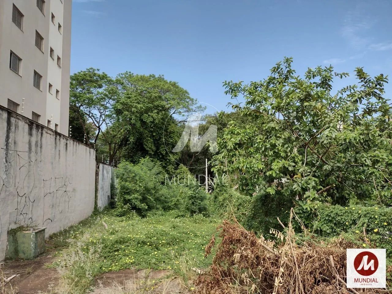 Terreno (terreno normal) - Foto 2