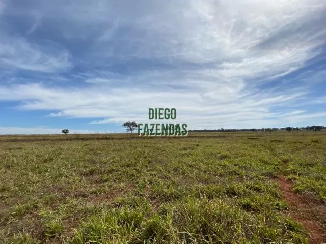 21 alqueirão - Rica em água - dupla aptidão - Foto 2